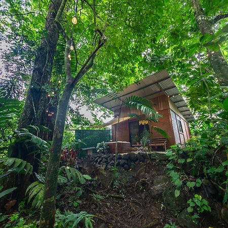 דירות La Fortuna The Frog House מראה חיצוני תמונה