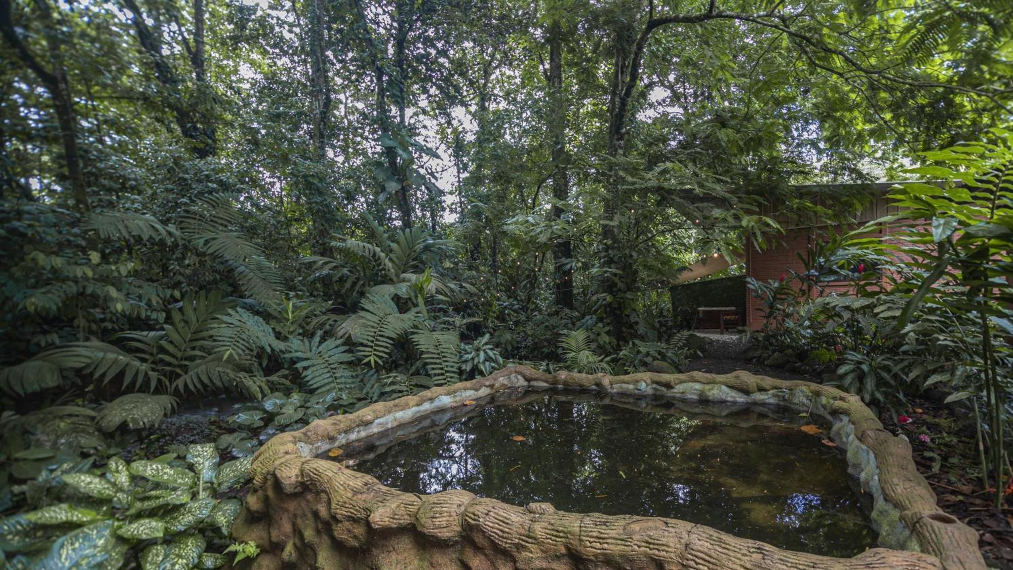 דירות La Fortuna The Frog House מראה חיצוני תמונה