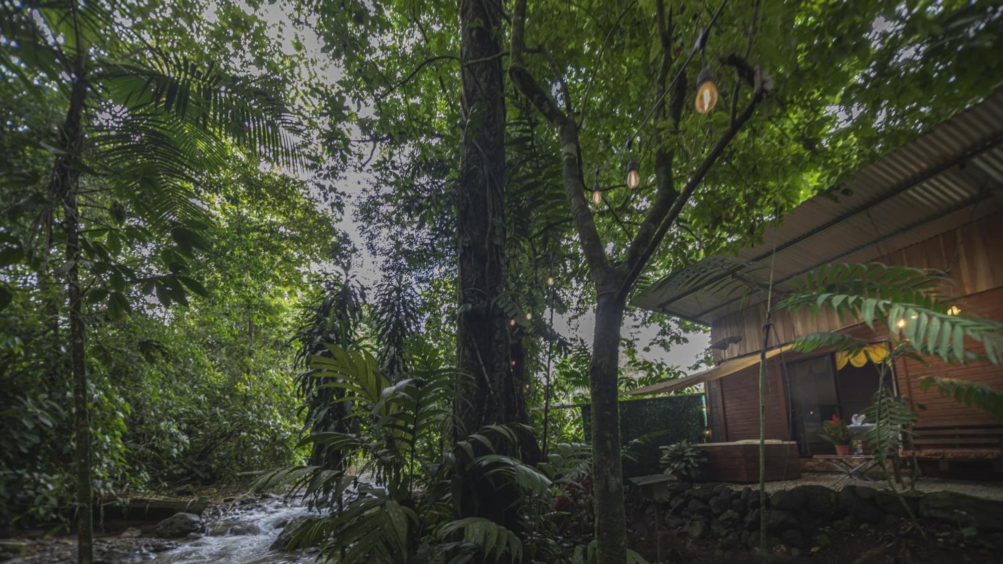 דירות La Fortuna The Frog House מראה חיצוני תמונה