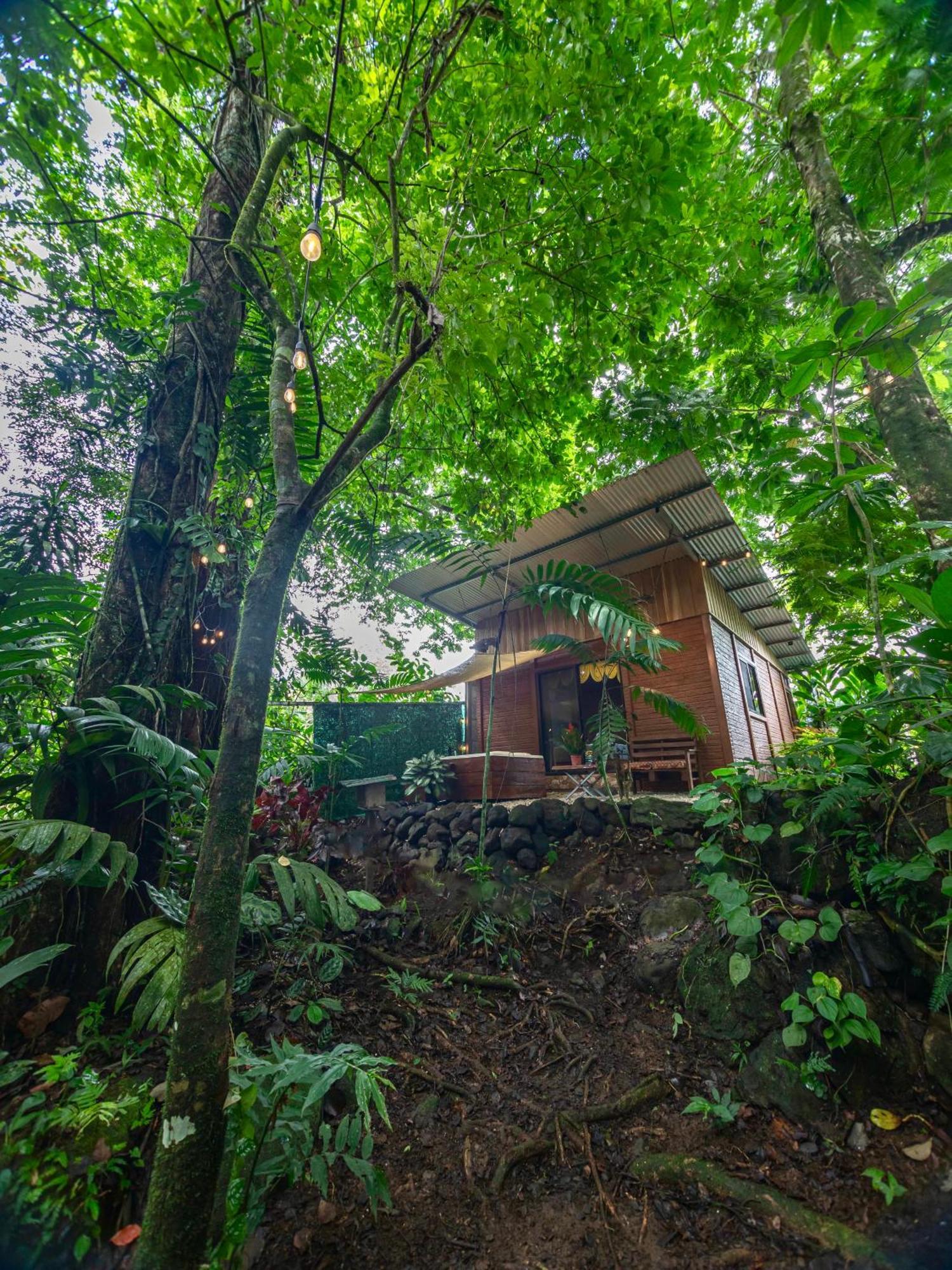 דירות La Fortuna The Frog House מראה חיצוני תמונה
